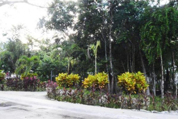 Willa La Casa Del Arbol -4Bed 3 Bath Puerto Morelos Zewnętrze zdjęcie
