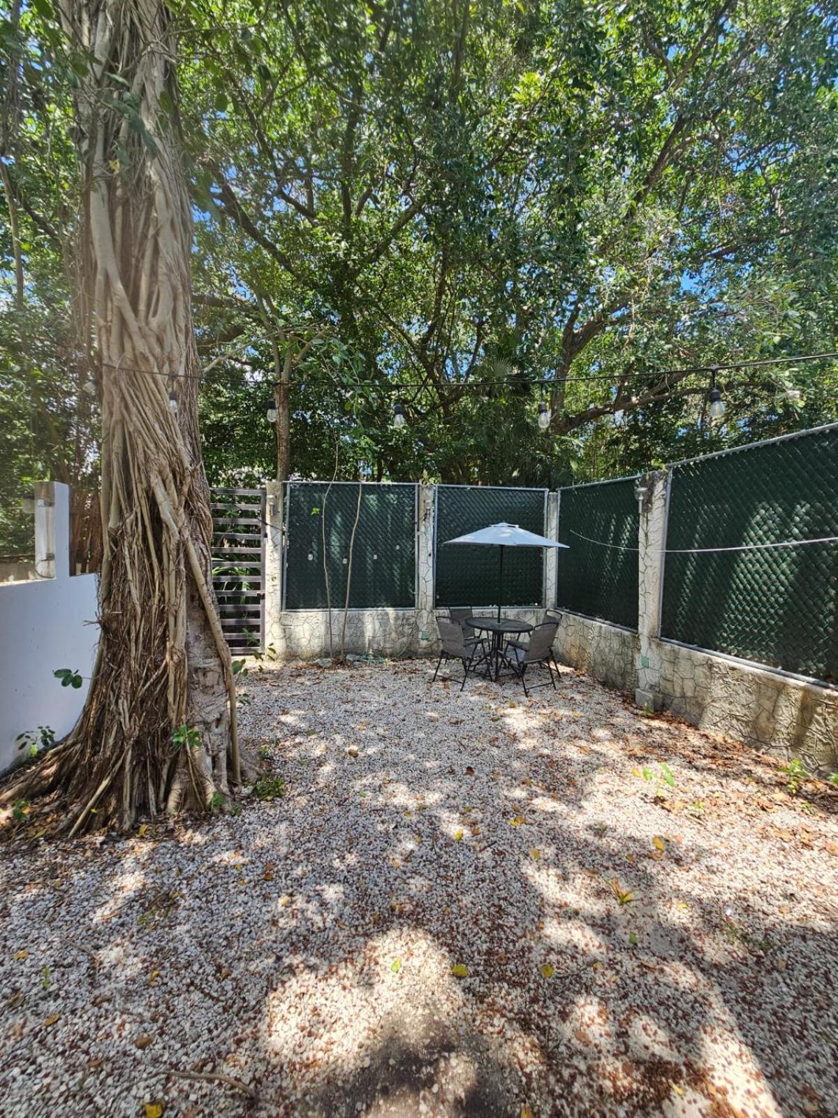 Willa La Casa Del Arbol -4Bed 3 Bath Puerto Morelos Zewnętrze zdjęcie